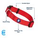 thumbnail image 3 of Collar para perro Blueberry Pet Essentials Rouge Red Nylon XS, 3 of 6