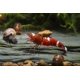 thumbnail image 4 of Piedras de pizarra Small World 20‑25 cm 3,6‑4,1 kg para acuario y reptiles, 4 of 9
