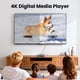 thumbnail image 3 of Reproductor multimedia fnetic 4K Ultra HD USB SD HDMI AV, 3 of 7