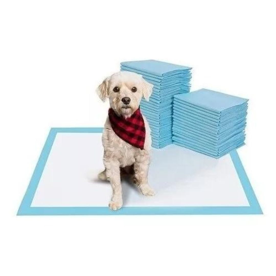 Genérico - 160 Pañales Tipo Sabanillas Mascotas Perros Y Gatos 60x60 Cm