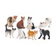 thumbnail image 3 of Juego De Figuras De Gatos, Decoración Del Hogar, Pequeño Para Regalo De Cumpleaños De Navidad, Niños Y Niñas, 3 of 3