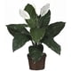 thumbnail image 1 of Planta artificial de Spathiphyllum casi natural con cesta de mimbre, 1 of 3