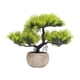 thumbnail image 1 of Árbol Bonsái Artificial Árbol Bonsái Falso Para Sala De Estar Inauguración De La Casa Escritorio Verde Claro, 1 of 5