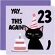 thumbnail image 1 of Tarjeta de cumpleaños Stuff4 23 Birthday Yay This Again! 5.7 pulgadas, 1 of 7