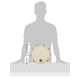 thumbnail image 3 of Pandereta Latin Percussion CP379 de madera de 10", 3 of 3