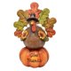 thumbnail image 1 of Placa De Calabaza De Pavo De Acción De Gracias, Centros De Mesa De Cocina De Cosecha De Oto?o, 1 of 5