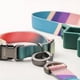 thumbnail image 3 of Collar Para Perro Resistente Y Ajustable - Pidan®, 3 of 3