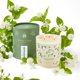 thumbnail image 1 of Candle Living Good Candle Co. Jazmín de medianoche, 400 g/90 h, 1 of 9