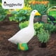 thumbnail image 2 of Figura decorativa para exteriores de Fox Valley Traders Gaggleville Porch Goose Baby Estatua de bebé, 2 of 9