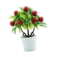 thumbnail image 3 of Plantas Artificiales en Maceta, Miniplantas Falsas, Bonsái, Frutas Falsas, Planta en Maceta, Planta de Fruta Artificial para Exteriores, Oficina Y Dor Guindas, 3 of 5