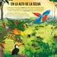 thumbnail image 2 of Un mundo sorprendente - De viaje por el Amazonas, 2 of 7