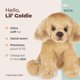 thumbnail image 2 of Peluche Bearington Lil' Goldie The Golden Retriever, 2 of 6