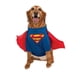 thumbnail image 4 of Disfraz de Superman para mascota Rubies – Talla Pequeña (6‑10 lb / 2,7‑4,5 kg), 4 of 8