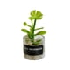 thumbnail image 5 of Mini Juguetes Para Casa De Mu?ecas Modelo De Paisaje Estático Modelado Mini Plantas Artificiales Estilo H, 5 of 5