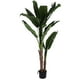 thumbnail image 1 of Planta Decorativa Artificial Alocasia 180 Cms., 1 of 4