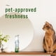 thumbnail image 3 of Aerosol Febreze Air Pet Odor Fighter 3 Pack Aroma Potente, 3 of 3