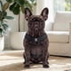 thumbnail image 4 of Arnés Petlounge Easy Glam Mascotas Perros Talla M negro, 4 of 9