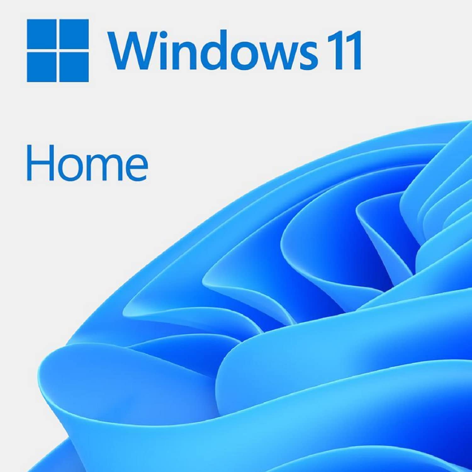 Software Microsoft System Builder Windows 11 Home Dvd