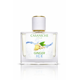 thumbnail image 2 of Perfume Casa Niche Ginger Ice Unisex Edt 50 Ml, 2 of 2