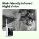 thumbnail image 4 of Casita para pájaros Birdfy con cámara solar 1080P HD y visión nocturna, 4 of 9