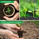 thumbnail image 4 of 50pcs Macetero Biodegradables Fibra Coco Germinación Orgánanica, 4 of 5