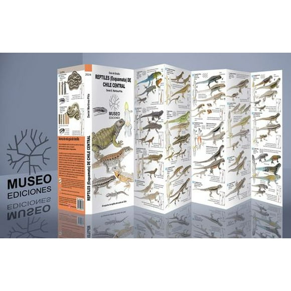 Guia Reptiles (Esquamata) De Chile Central