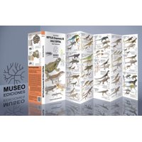 Museo Ediciones - Guia Reptiles (Esquamata) De Chile Central