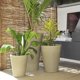 thumbnail image 4 of Macetero Elqui 40 Café, 4 of 4