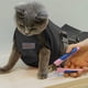 thumbnail image 3 of Bolsa De Aseo Para Gatos Para Corte De Uñas Y Limpieza Sujeción (m), 3 of 9