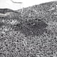 thumbnail image 4 of Tapa de inodoro TOWN & COUNTRY BASICS Spa Step Noodle gris oscuro, 4 of 7
