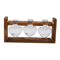 Bothyi - Jarrón Hidropónico, Macetero De Mesa, Jarrón De Cristal Para Estantería, Sala De Estar, Oficina, 3 Jarrones De Cristal