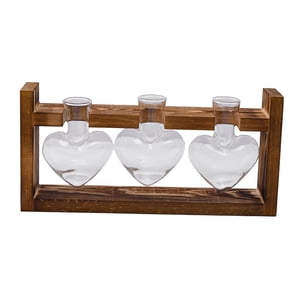 Bothyi - Jarrón Hidropónico, Macetero De Mesa, Jarrón De Cristal Para Estantería, Sala De Estar, Oficina, 3 Jarrones De Cristal