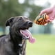 thumbnail image 3 of Pelota de fútbol de goma para perros Nerf con chirriador en espiral, naranja, 3 of 3