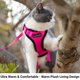 thumbnail image 3 of Arnés para gatos Mr. Peanut's PurrTrek Reflective con correa rosa XS, 3 of 9