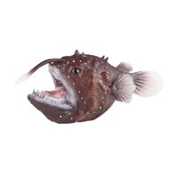 Magideal - Figuras De Peces Pescadores, Juguetes Educativos De Simulación De Peces Linterna, Modelo De Juguete De Criaturas Marinas Simuladas Para Regalos De Fie