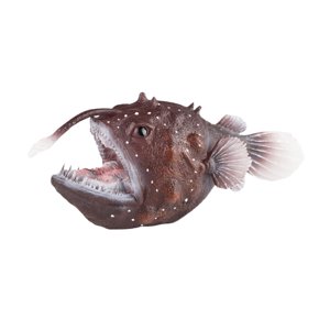 Magideal - Figuras De Peces Pescadores, Juguetes Educativos De Simulación De Peces Linterna, Modelo De Juguete De Criaturas Marinas Simuladas Para Regalos De Fie