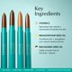thumbnail image 5 of Set de Lápices de Sombra de Ojos Thrive Causemetics 3 Tonos Mate, 5 of 6