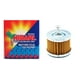 thumbnail image 1 of Filtro Aceite Moto Pulsar Ns 125 / Ns 135 / Ns 150 / Ns 160, 1 of 3