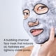 thumbnail image 2 of Mascarilla facial Dr.Jart+ Dermask Porecting Solution Charcoal, 2 of 5