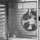 thumbnail image 3 of Ventus Deshidratador VDP-10AI 10 Bandejas, 3 of 5