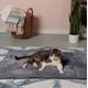 thumbnail image 3 of Cama Autocalentable Thermanap Para Perros Y Gatos Color Gris, 3 of 9