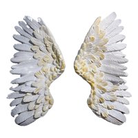 Genérico - Adorno Decorativo Pared Alas Arte Figura Hogar Jhn