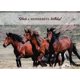 thumbnail image 5 of Tarjetas de Felicitación CPG Caballos Salvajes 12 unidades (Escritura KJV), 5 of 9