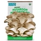thumbnail image 1 of Kit de cultivo de hongos Back to the Roots Organic Mini Harvest, 1 of 6