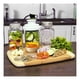thumbnail image 5 of Tapa selladora FoodSaver® GRANDE para frascos conserveros T03-0023-01P, 5 of 6