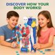 thumbnail image 3 of Kit STEM Modelo Interactivo del Cuerpo Humano para Niños de 8 a 14 Años – Smartivity, 3 of 8
