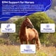 thumbnail image 4 of Suplemento Para Caballos Epm Support 300 Tabletas, 4 of 8
