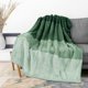 thumbnail image 1 of Manta PAVILIA Fluffy Sherpa Ombre 130 x 150 cm, color verde, 1 of 7