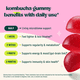 thumbnail image 3 of Gomitas Probiotix Probioticos Kombucha 1.6b Cfu Lactobacilos, 3 of 8