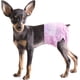 thumbnail image 1 of Pañales desechables para perros hembras, cachorros y gatos, color rosa, 12-36 unidades, con orificio ajustable para la cola., 1 of 5
